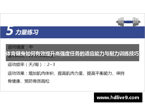 体育健身如何有效提升高强度任务的适应能力与耐力训练技巧